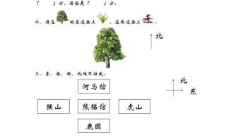 二年级数学册2.1东 南西北-【免费下载】