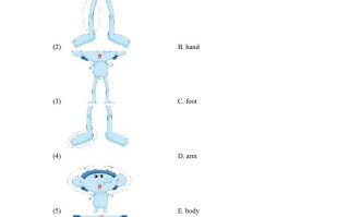 三年级英语册Unit3_B_Let’s_learn同步习题-【免费下载-高清无水印】【英语电子版可打印】