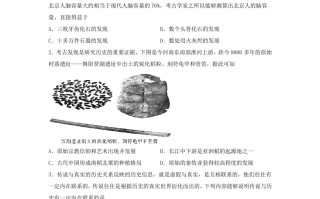 2021-2022学年七年级册历史期末试卷及答案-【免费下载-高清无水印】【历史电子版可打印】