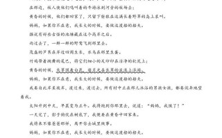 三年级语文册复习——课外阅读-【免费下载-高清无水印】【语文电子版可打印】