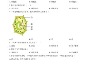 20 24年福建省中考生物试题-【免费下载】