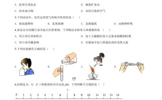 黑龙江省牡丹江、鸡西地区朝鲜族学校2 020年中考化学试题-【免费下载】