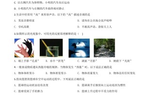 2020年湖北省宜昌市中考物理试 题-【免费下载】