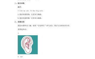 一年级英语册Face习题2-【免费下载-高清无水印】【英语电子版可打印】