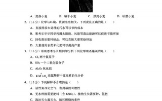 2024年广东省深圳中 考化学试卷_-【免费下载】