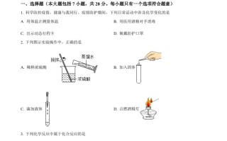 2022年四川省资阳市中考化学真题-【免费下载-高清无水印】【中考真题电子版可打印】