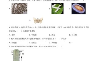 2023年山东省烟台市中考生物真题-【免费下载-高清无水印】【中考真题电子版可打印】