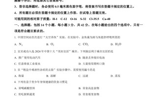 2024年四川 省宜宾市中考化学真题-【免费下载】