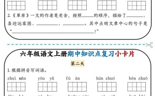 六语文期中复习小卡片-【免费下载-高清无水印】【语文电子版可打印】