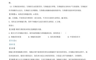 山东省日照市2020年中考生物 试题-【免费下载】