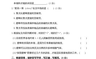 四年级语文册期末测试卷-【免费下载-高清无水印】【语文电子版可打印】