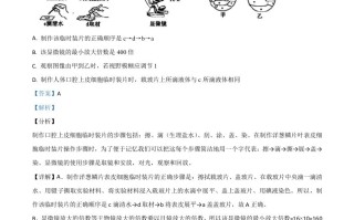 山东省菏泽市2020年中考生物试题-【免费下载-高清无水印】【中考真题电子版可打印】
