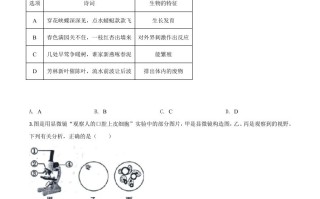 山东省东营市2020年中考生物试题-【免费下载-高清无水印】【中考真题电子版可打印】