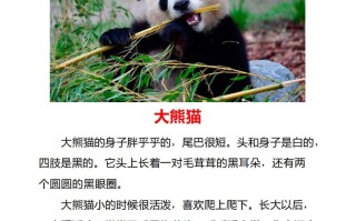 二年级册语文口语交际一“有趣的动物”指导及范文-【免费下载-高清无水印】【语文电子版可打印】