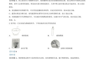 2024年四川省乐山市中 考化学真题-【免费下载】