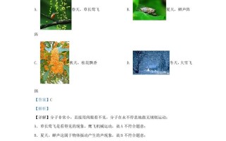 2023-2024学年陕西省西安市临潼区九年级学期物理期中试题及答案-【免费下载-高清无水印】【物理电子版可打印】