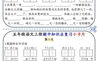 五语文期中复习小卡片-【免费下载-高清无水印】【语文电子版可打印】