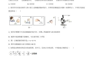 2022年山东省 滨州市中考生物真题-【免费下载】