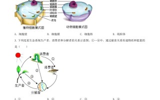 2022年安徽省中考生物真题-【免费下载-高清无水印】【中考真题电子版可打印】