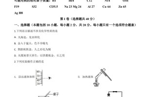 山东省潍坊市2020年中考化学试 题-【免费下载】