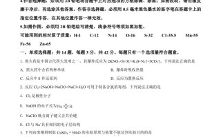 202 1年高考化学试卷-【免费下载】