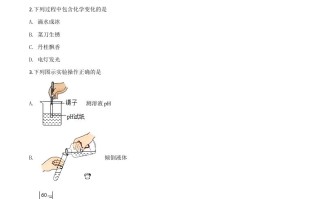 江苏省连云港市2020年中考化学试题-【免费下载-高清无水印】【中考真题电子版可打印】