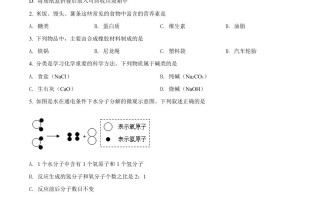 2022年青海省西宁市中考化学真 题-【免费下载】