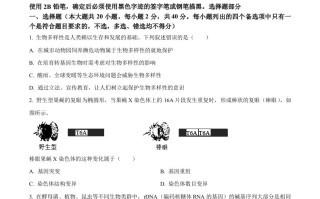 2024年高 考生物试卷-【免费下载】