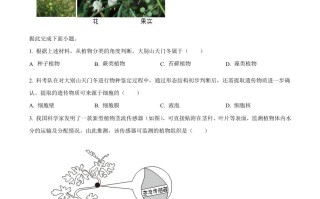 2024年湖北省中考生物真题 -【免费下载】