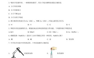 湖 南省益阳市2021年中考化学试题-【免费下载-高清无水印】【中考真题电子版可打印】