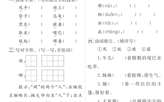 25秋语文《核心知识点专练》2-6年级上册