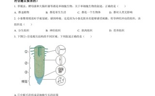 202 4年陕西省中考生物真题-【免费下载】