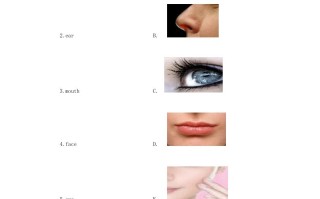 一年级英语册Face习题4-【免费下载-高清无水印】【英语电子版可打印】