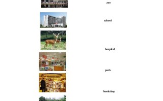 二年级英语册Unit4习题第2课时-【免费下载-高清无水印】【英语电子版可打印】