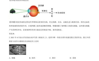 2022年四川省凉山州 中考生物真题-【免费下载】