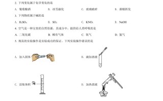 2022年广西梧 州市中考化学真题-【免费下载】