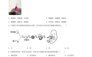 2022年四川省成都市中考生物真题-【免费下载-高清无水印】【中考真题电子版可打印】