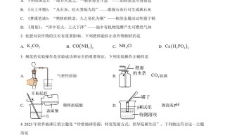 2023年山东省潍坊市中考化学真题 -【免费下载】