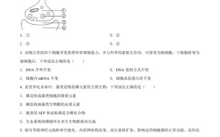 2021年高考生 物试卷-【免费下载】