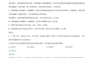 2022年高考 生物试卷-【免费下载】