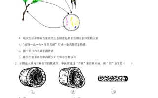 2021年山西省大同市中考生物真题-【免费下载-高清无水印】【中考真题电子版可打印】