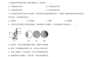 2023年新疆维吾尔自治区新疆生产建设兵团中考生物真题-【免费下载-高清无水印】【中考真题电子版可打印】