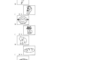 三年级英语册英语试卷-期末质量评估卷-【免费下载-高清无水印】【英语电子版可打印】