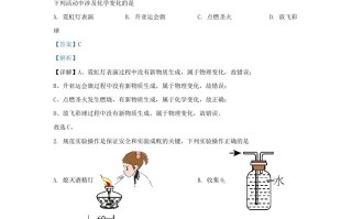 2023-2024学年湖北省武汉市九年级学期化学12月月考试题及答案-【免费下载-高清无水印】【化学电子版可打印】