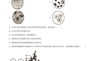 江苏省盐城市2020年中考生物试题-【免费下载-高清无水印】【中考真题电子版可打印】