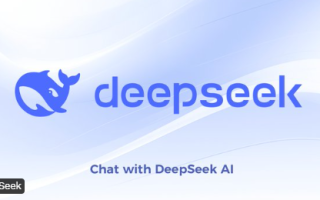 DeepSeek使用攻略，DeepSeek使用大全本地部署，DeepSeek新手教程提示词模板