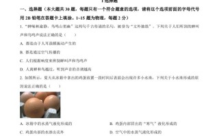 2023 年湖北省宜昌市中考理综物理试题-【免费下载】