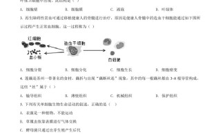 江苏省苏州市2021年初中结业考试 生物试题-【免费下载-高清无水印】【中考真题电子版可打印】