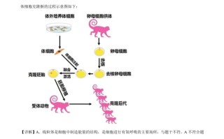 安徽省2020年中考生物试题-【免费下载-高清无水印】【中考真题电子版可打印】