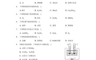 2021年北 京市中考化学试卷-【免费下载】